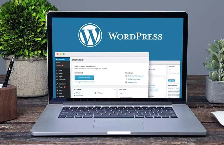 wordPress web development agency houston 3